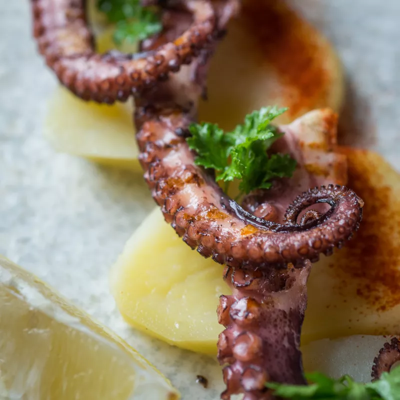 Catering propio para eventos corporativos y sociales
